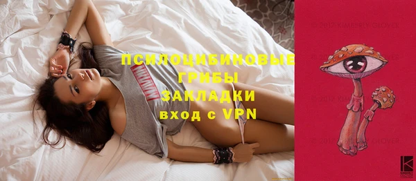 мескалин Богородск
