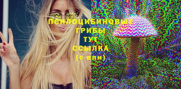 МДМА Приозерск