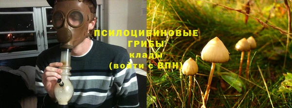 экстази Новодвинск