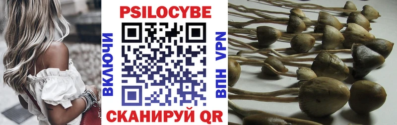 Псилоцибиновые грибы Psilocybe  Новодвинск 