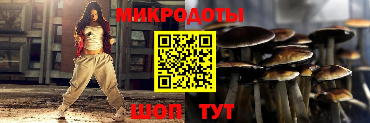 Псилоцибиновые грибы прущие грибы  Псилоцибиновые грибы Magic Shrooms  Вход с VPN  купить закладку  Новодвинск 