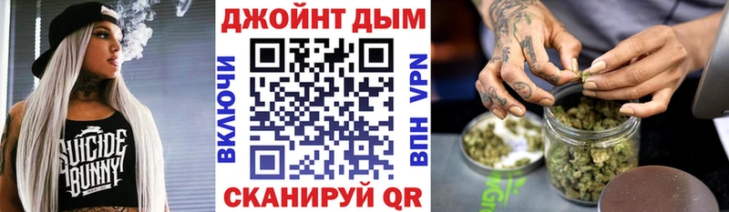 магазин продажи наркотиков  Новодвинск  мега как зайти  Шишки марихуана Amnesia 